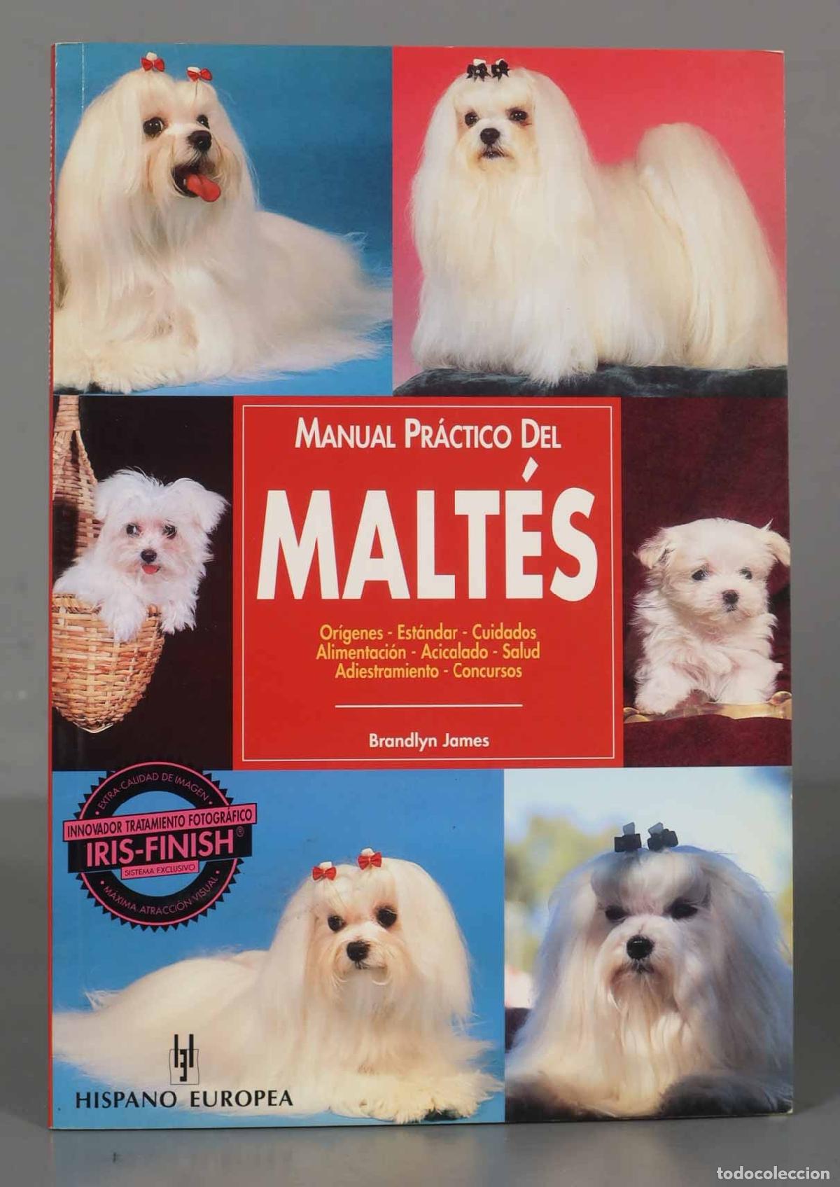 Libros de segunda mano: Malt&eacute;s. Manual pr&aacute;ctico del James Brandlyn - Foto 1
