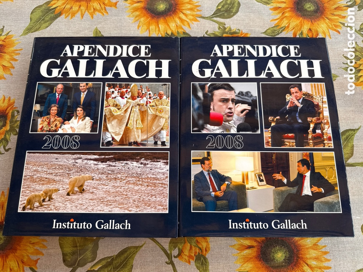 Libros de segunda mano: Ap&eacute;ndice Gallach 2008. 2 Tomos.