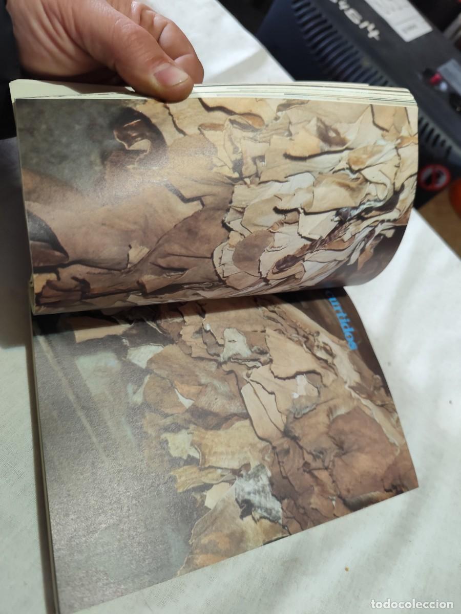 Libros de segunda mano: GUIA DE LA ARTESANIA DE SEGOVIA / / SUX 06 - Foto 23