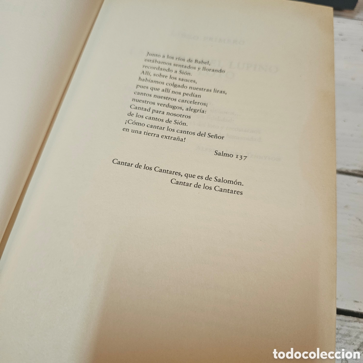 Libros de segunda mano: El jard&iacute;n del verano - Paullina Simons - Foto 3