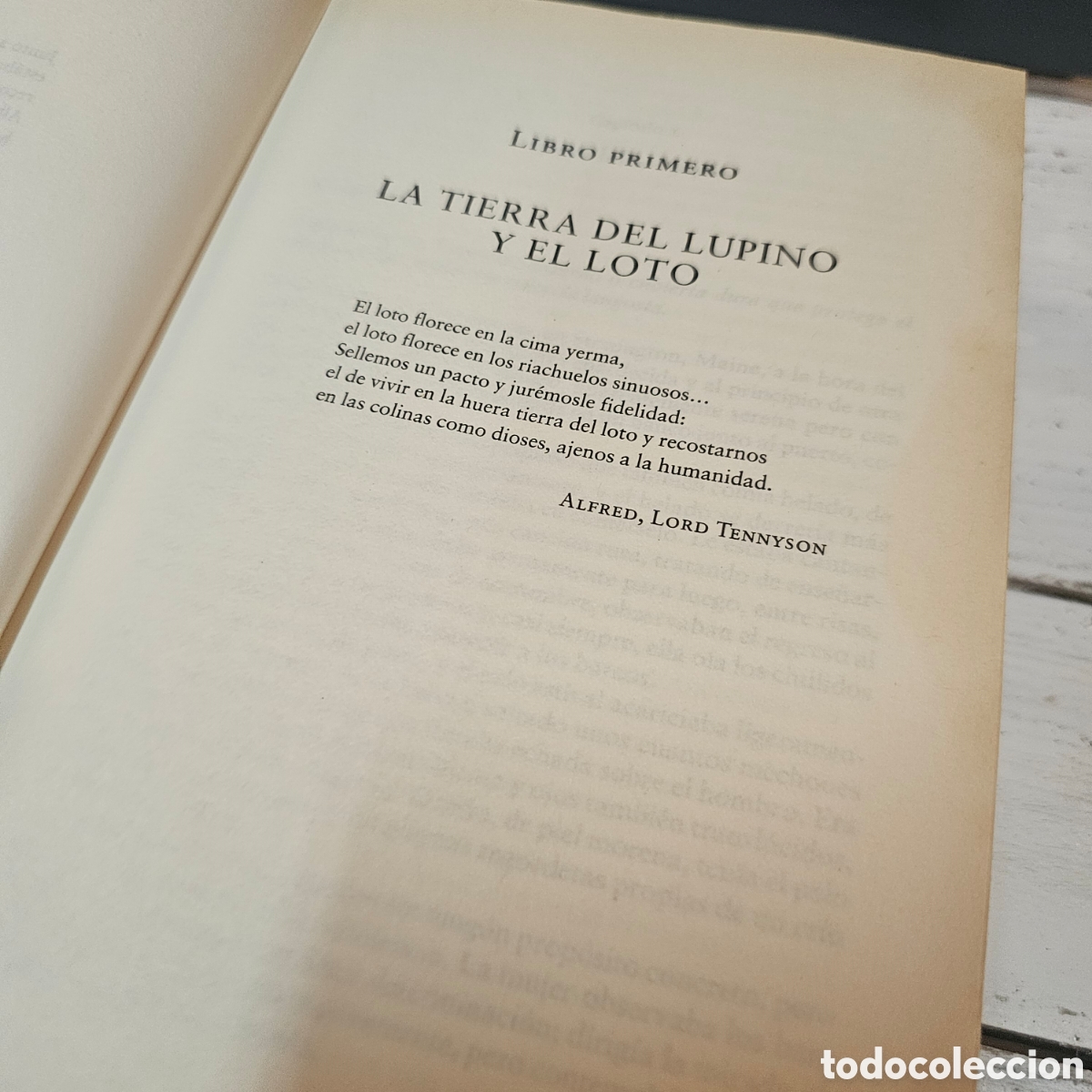 Libros de segunda mano: El jard&iacute;n del verano - Paullina Simons - Foto 4
