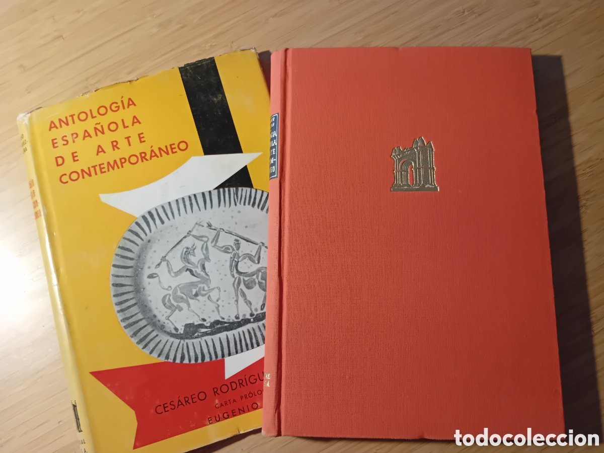 Libri di seconda mano: Antolog&iacute;a Espa&ntilde;ola de Arte Contempor&aacute;neo - Ces&aacute;reo Rodr&iacute;guez-Aguilera (Barna 1955)