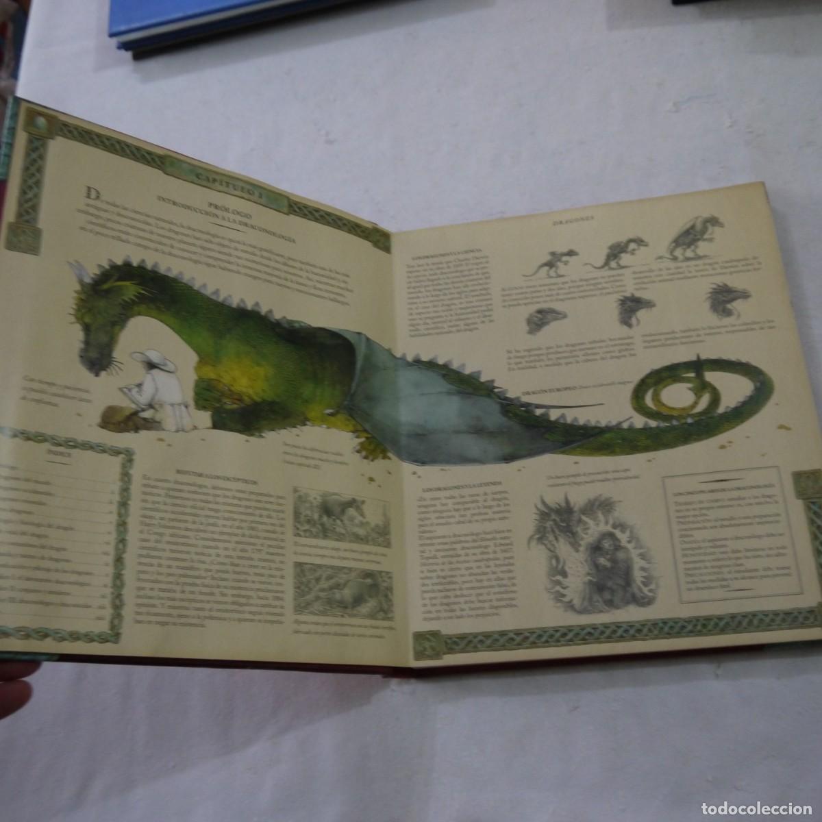 Libros de segunda mano: EL GRAN LIBRO DE LOS DRAGONES VOL. 1 - DUGALD A. STEER - MONTENA - 2004 - Foto 3