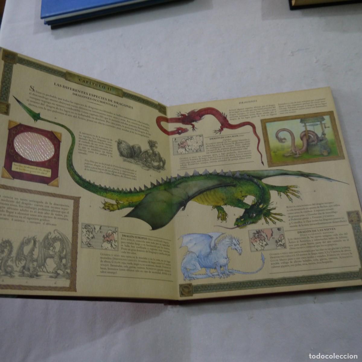 Libros de segunda mano: EL GRAN LIBRO DE LOS DRAGONES VOL. 1 - DUGALD A. STEER - MONTENA - 2004 - Foto 4