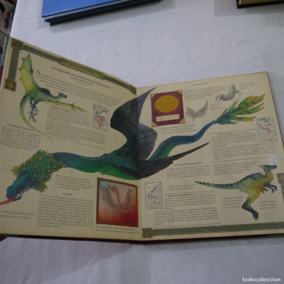 Libros de segunda mano: EL GRAN LIBRO DE LOS DRAGONES VOL. 1 - DUGALD A. STEER - MONTENA - 2004 - Foto 5