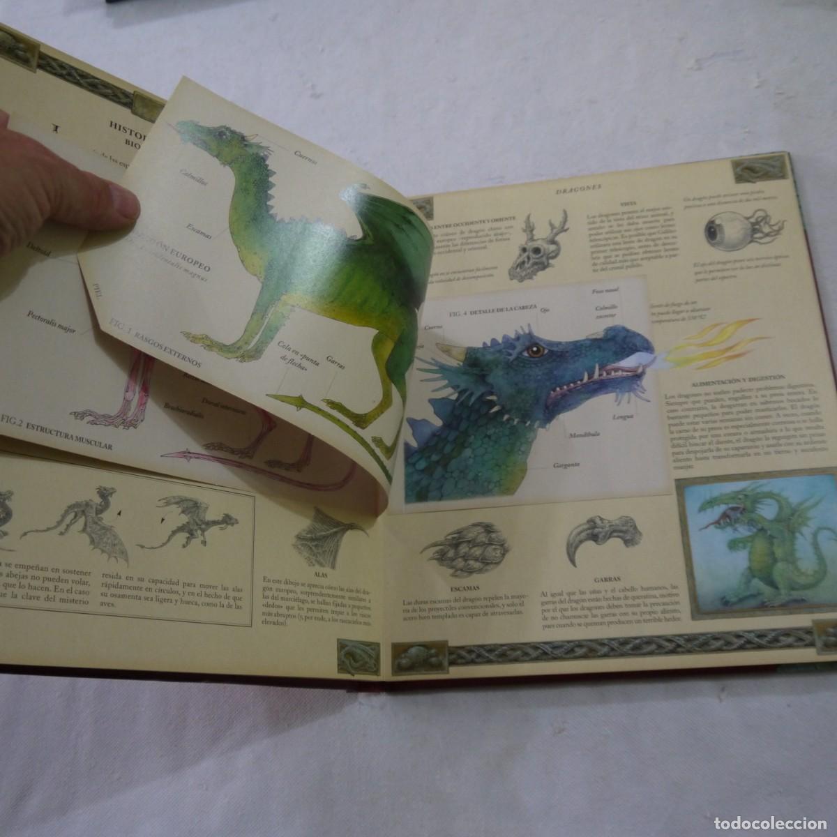 Libros de segunda mano: EL GRAN LIBRO DE LOS DRAGONES VOL. 1 - DUGALD A. STEER - MONTENA - 2004 - Foto 6
