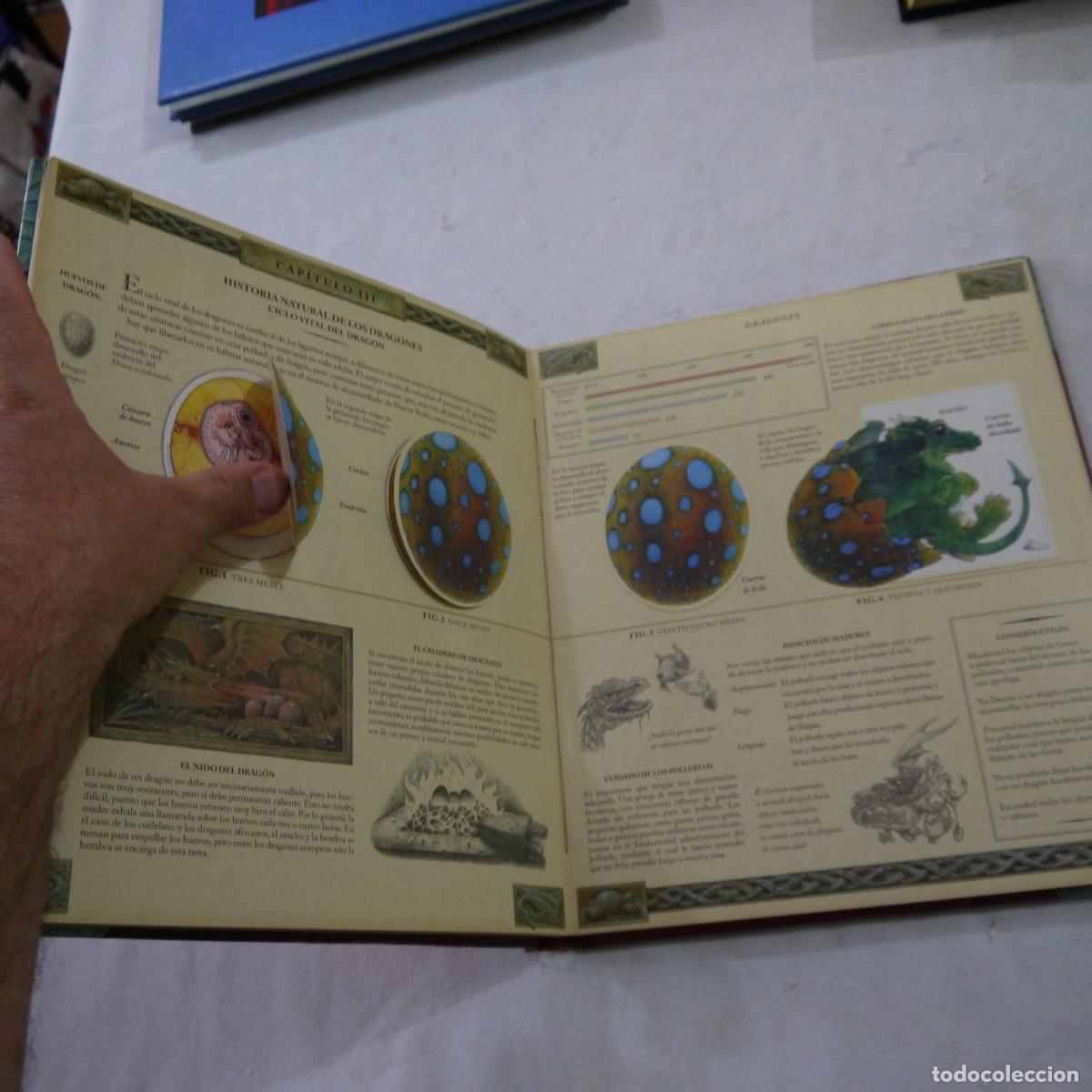 Libros de segunda mano: EL GRAN LIBRO DE LOS DRAGONES VOL. 1 - DUGALD A. STEER - MONTENA - 2004 - Foto 7