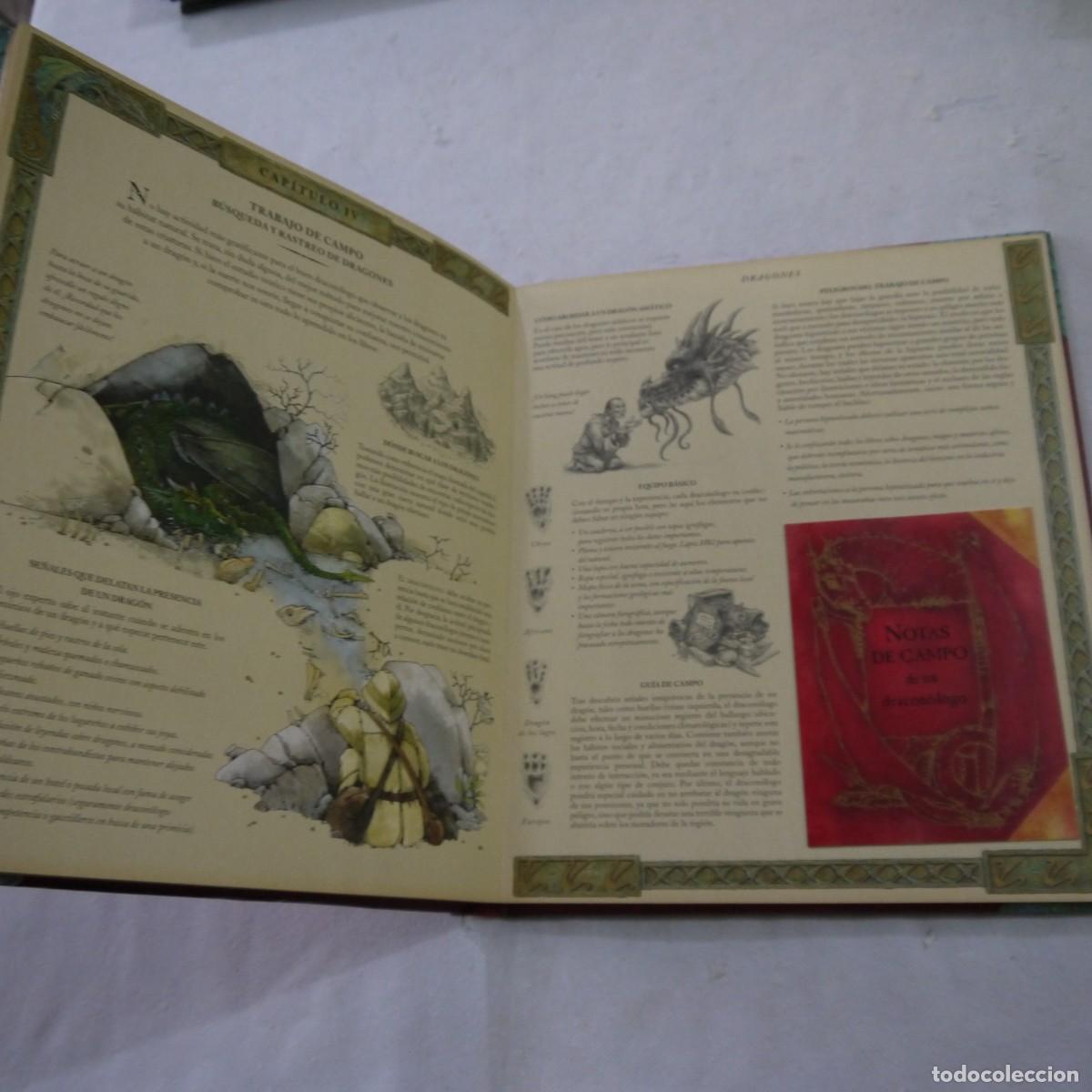 Libros de segunda mano: EL GRAN LIBRO DE LOS DRAGONES VOL. 1 - DUGALD A. STEER - MONTENA - 2004 - Foto 8