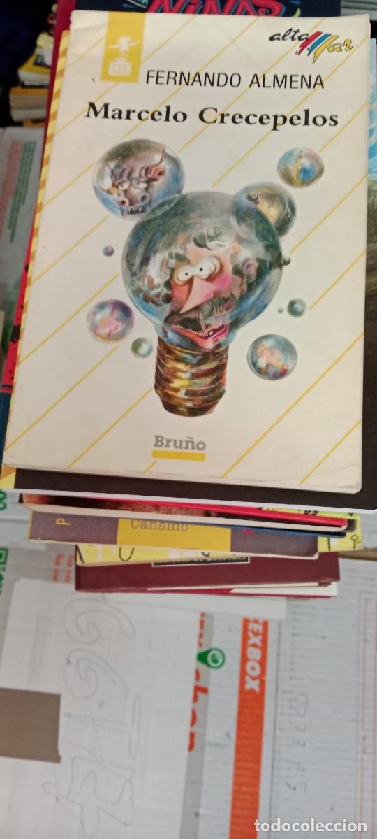 Libros de segunda mano: E-VID LIBRO MARCELO CRECEPELOS FERNANDO ALMENA - Foto 1