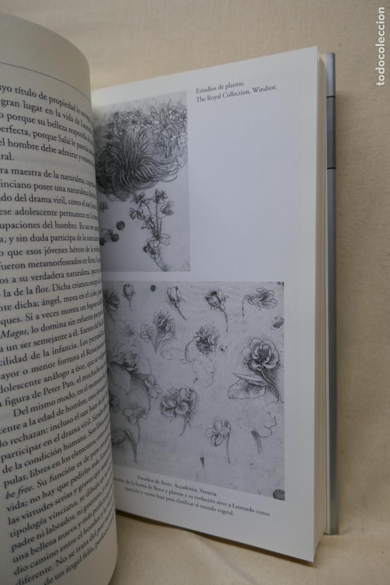 Libros de segunda mano: LEONARDO DA VINCI. La encarnaci&oacute;n del genio - MARCEL BRION - Foto 8
