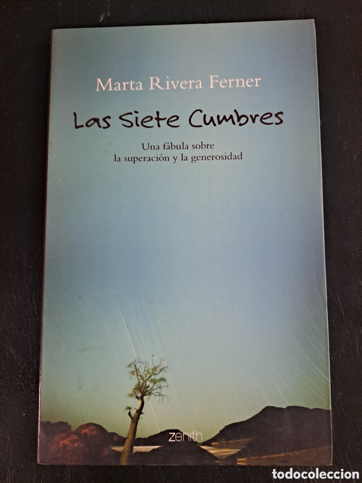 Libros de segunda mano: Las siete cumbres &ndash; Marta Rivera Ferner - Obelisco - Foto 1