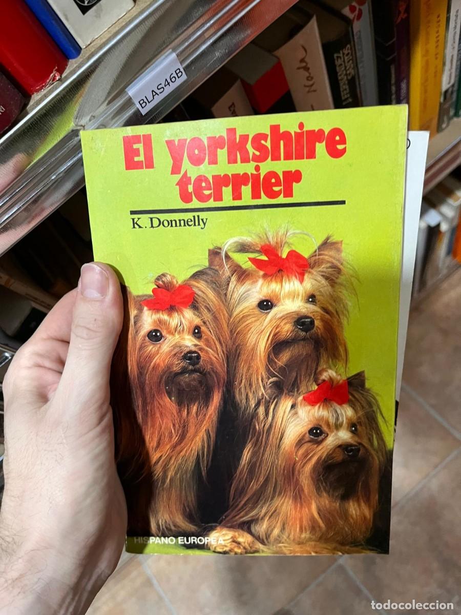 Libros de segunda mano: BLAS46B EL YORKSHIRE TERRIER, K DONNELLY