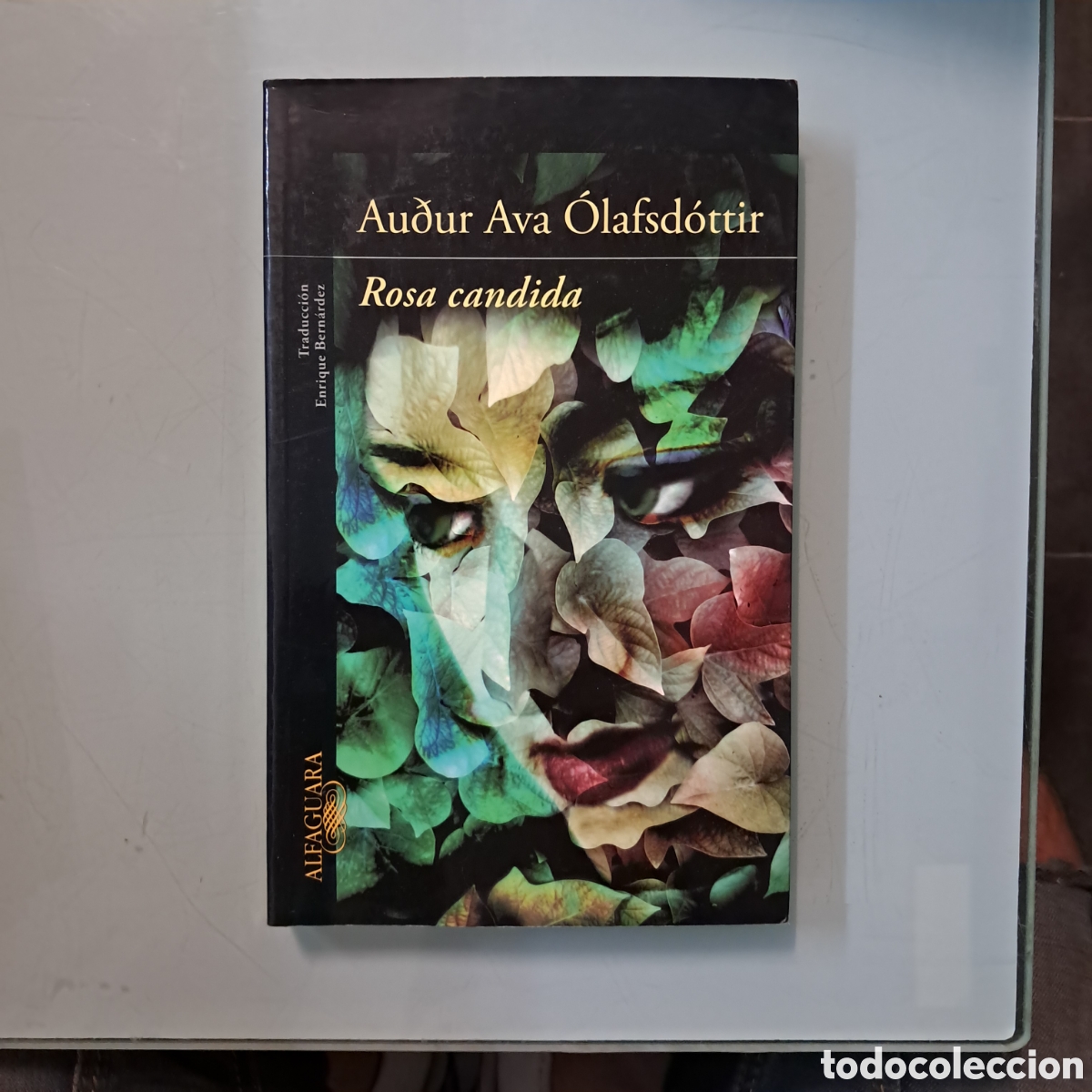 Libros de segunda mano: Audur Ava Olafsdottir , Rosa C&aacute;ndida, Alfaguara - Foto 1