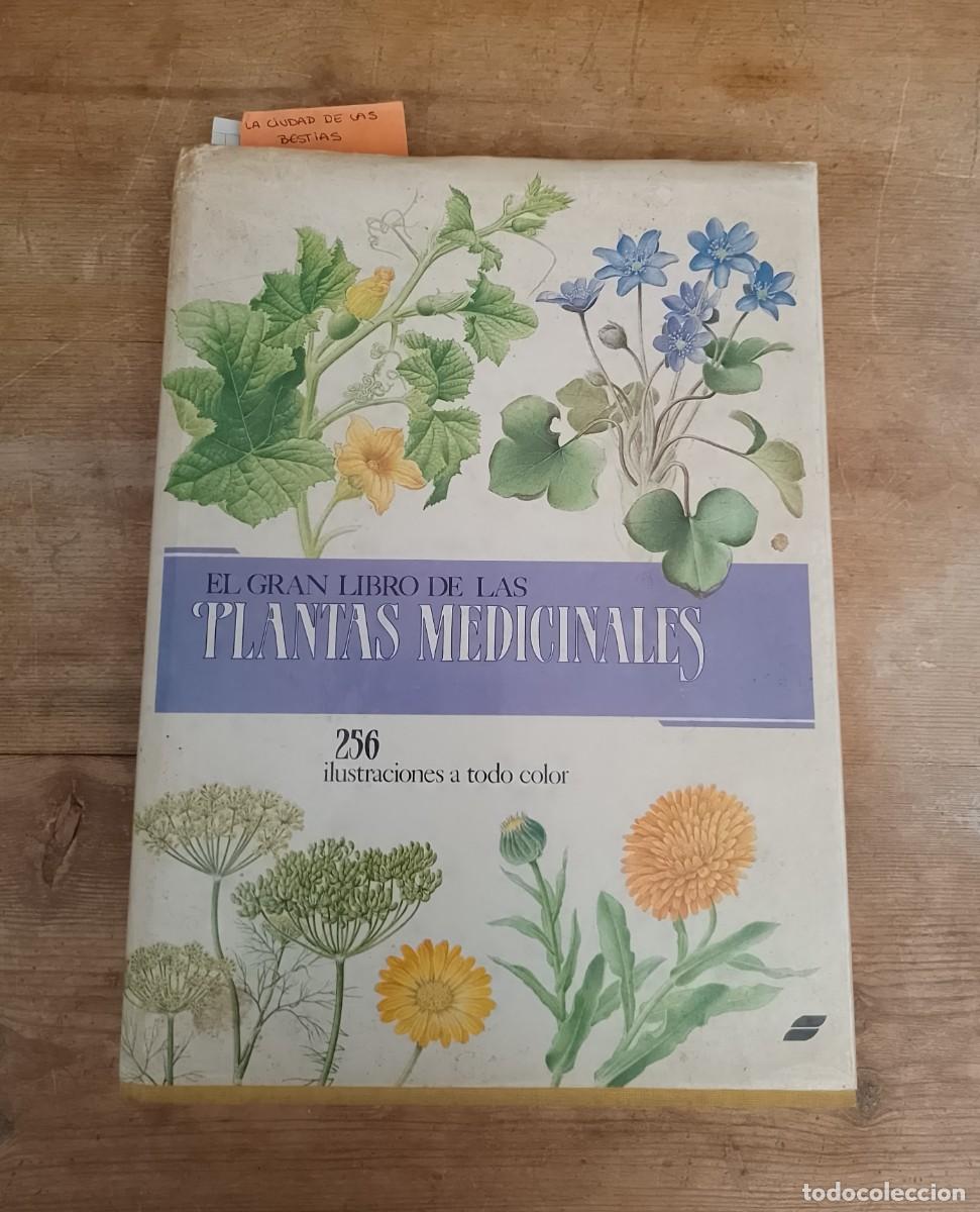 Libros de segunda mano: El gran libro de las plantas medicinales - Foto 1