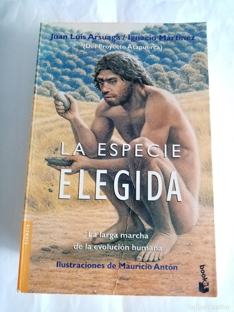 Libros de segunda mano: LA ESPECIE ELEGIDA . Juan Luis Arsuaga ( BOOKET ) - Foto 1