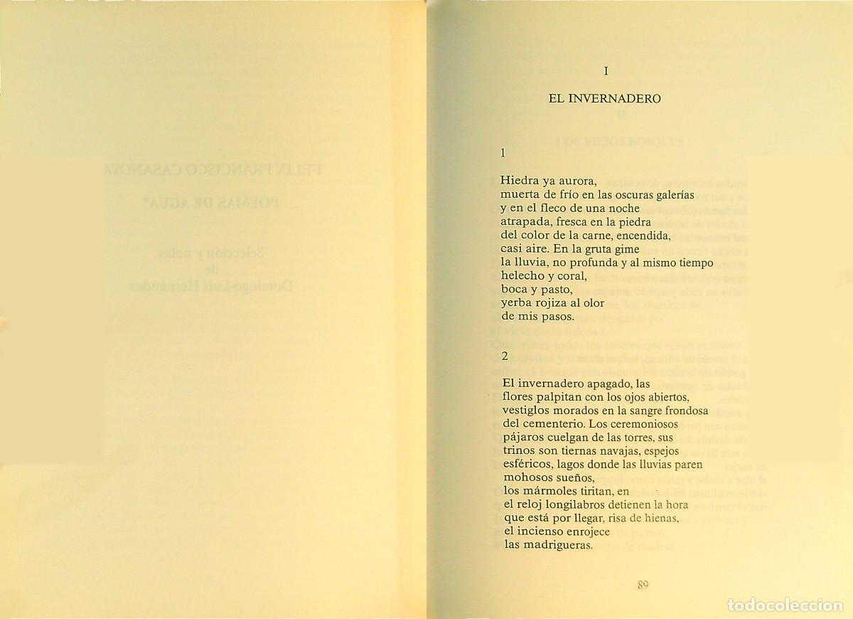 Libros de segunda mano: F&Eacute;LIX FRANCISCO CASANOVA - 1992 - TENERIFE - CANARIAS - Foto 3