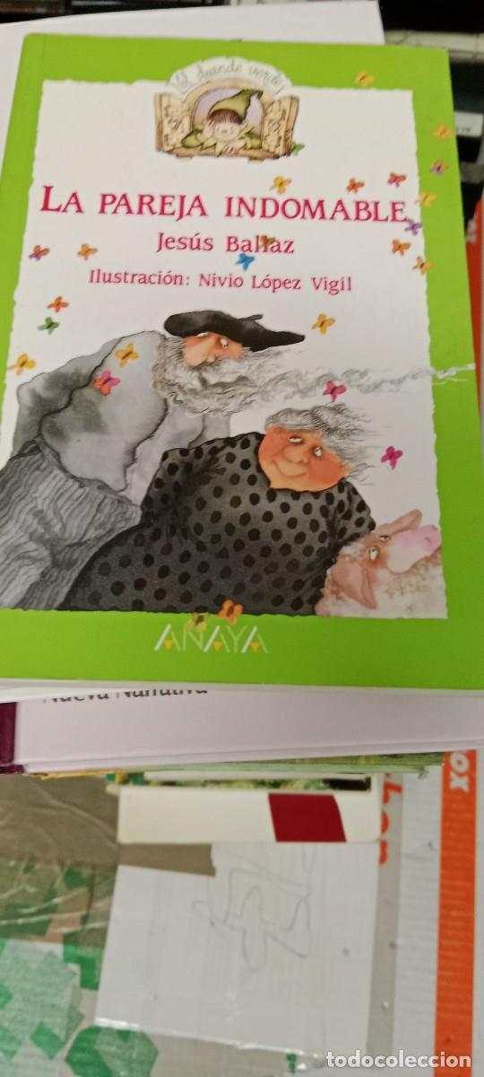 Libros de segunda mano: GG-GAT LIBRO LA PAREJA INDOMABLE. JESUS BALLAZ - Foto 1