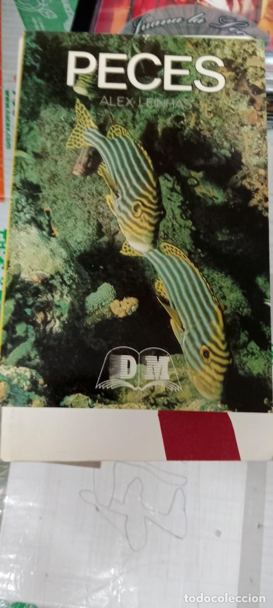 Libros de segunda mano: GG-GAT LIBRO PECES, ALEX LEINHAS, - Foto 1
