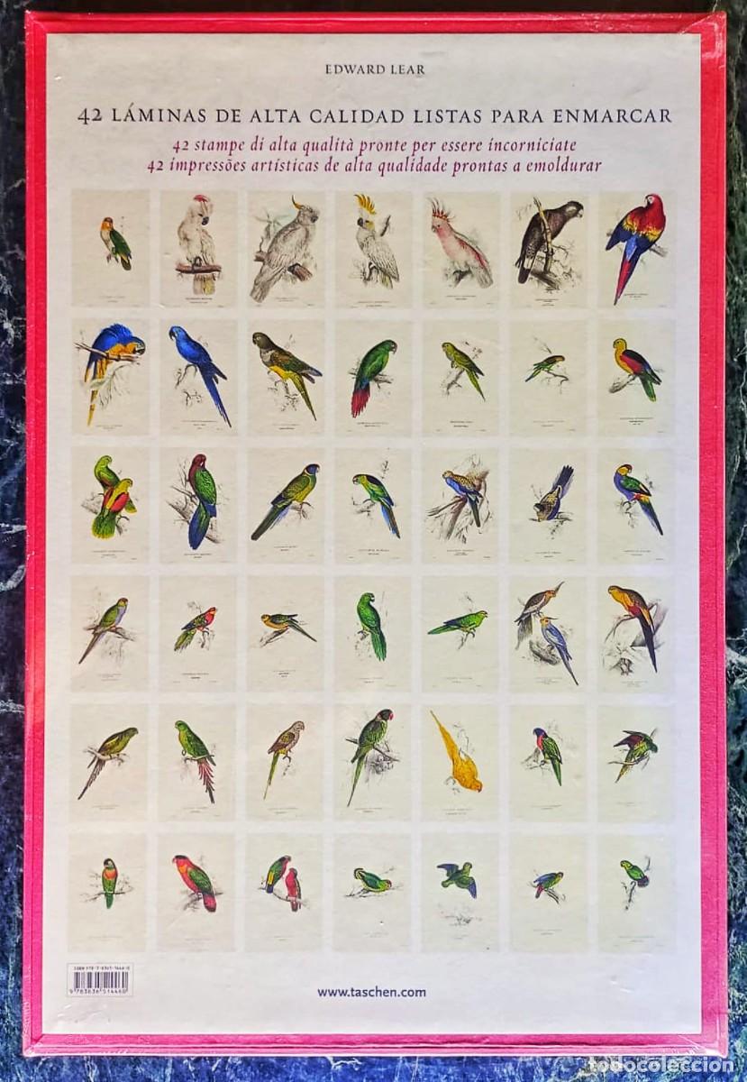 Libros de segunda mano: THE PARROTS. EDWARD LEAR. TASCHEN - Foto 2