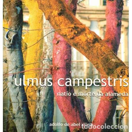 Libros de segunda mano: Ulmus campestris. Natio e morte da alameda - Adolfo de Abel Vilela - Foto 1