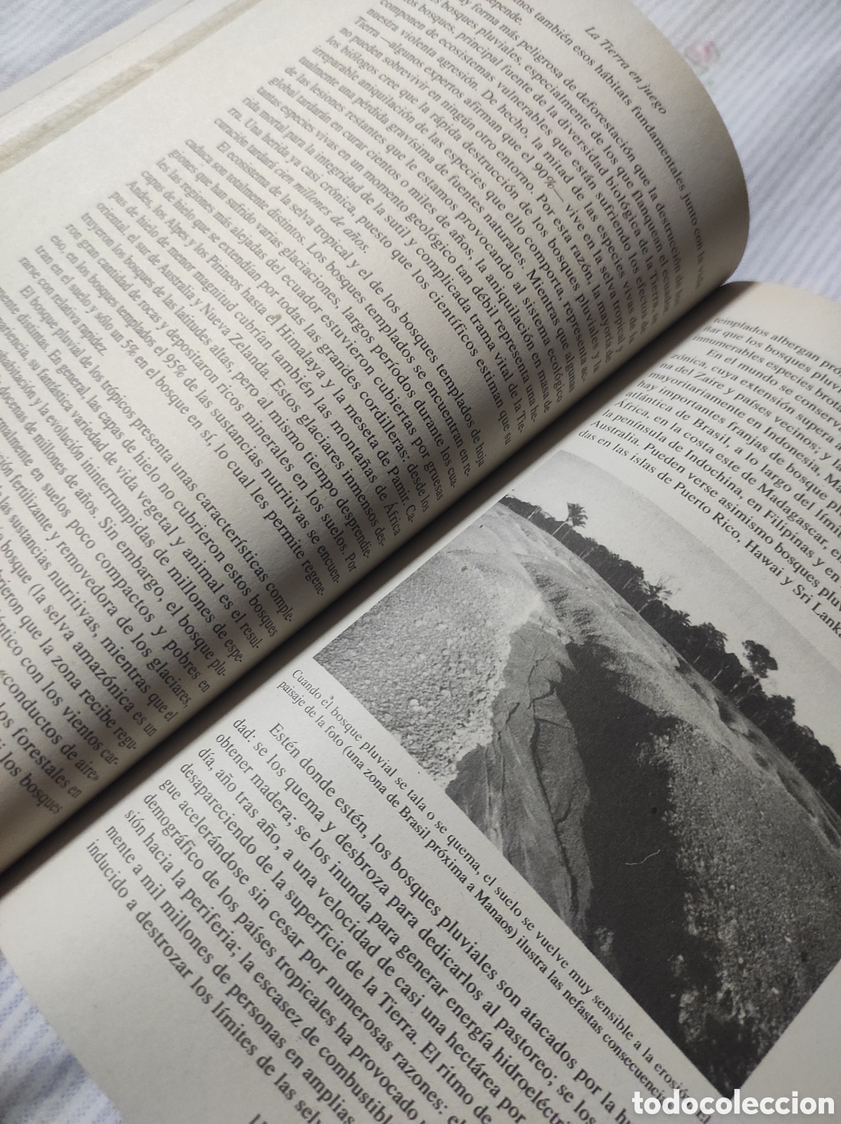 Libros de segunda mano: La Tierra en juego, Al Gore (PEDIDO M&Iacute;NIMO 5 &euro;) - Foto 4