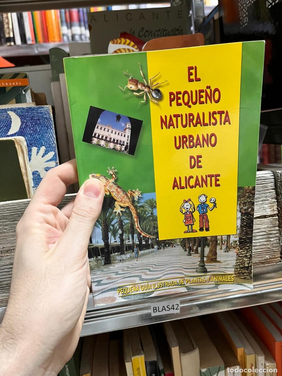 Second hand books: BLAS42 EL PEQUE&Ntilde;O NATURISTA URBANO DE ALICANTE, GUIA ILUSTRADA DE PLANTAS Y ANIMALES