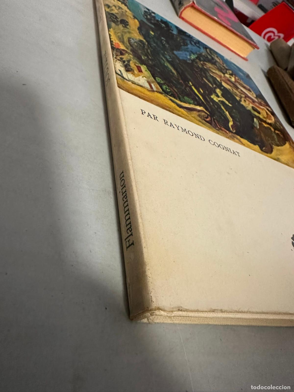 Libros de segunda mano: Soutine. Cogniat, Raymond - Foto 3