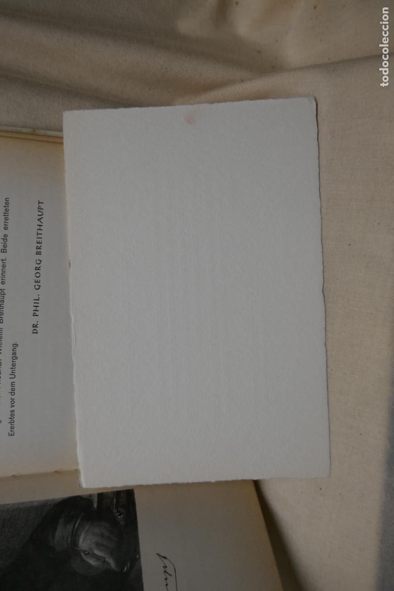 Libros de segunda mano: FRIEDRICH BREITHAUPT - (ILUSTRADO - EN ALEMAN) - Foto 10