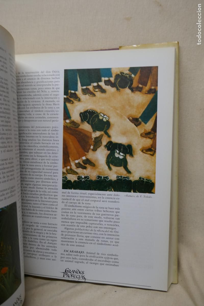 Libros de segunda mano: GRANDES PROFEC&Iacute;AS EDICIONES NUEVA LENTE - Foto 9
