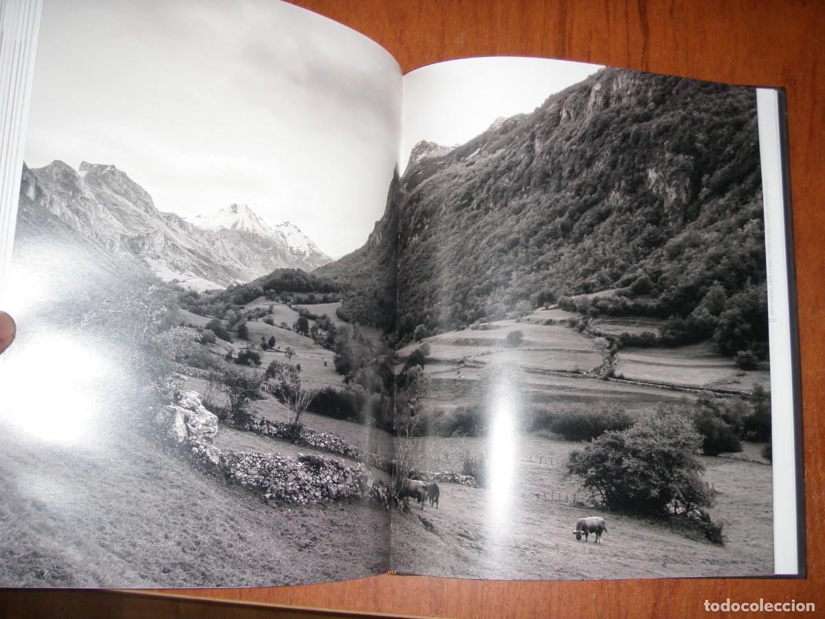 Libros de segunda mano: 40 FOMENTO DE LA COCINA ASTURIANA - Foto 8