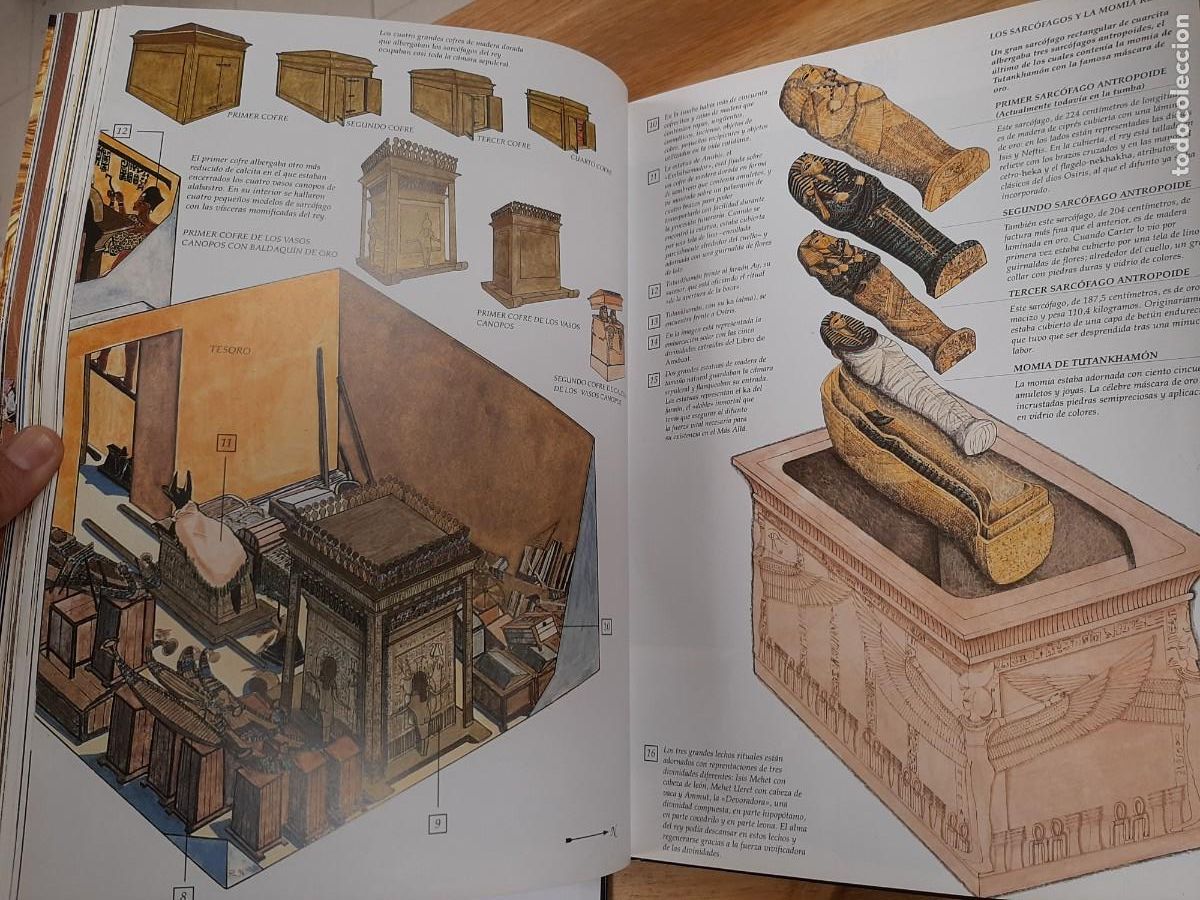 Libros de segunda mano: EGIPTO - ARQUEOLOG&Iacute;A E HISTORIA DEL ANTIGUO EGIPTO - Folio, 1998 - Foto 11