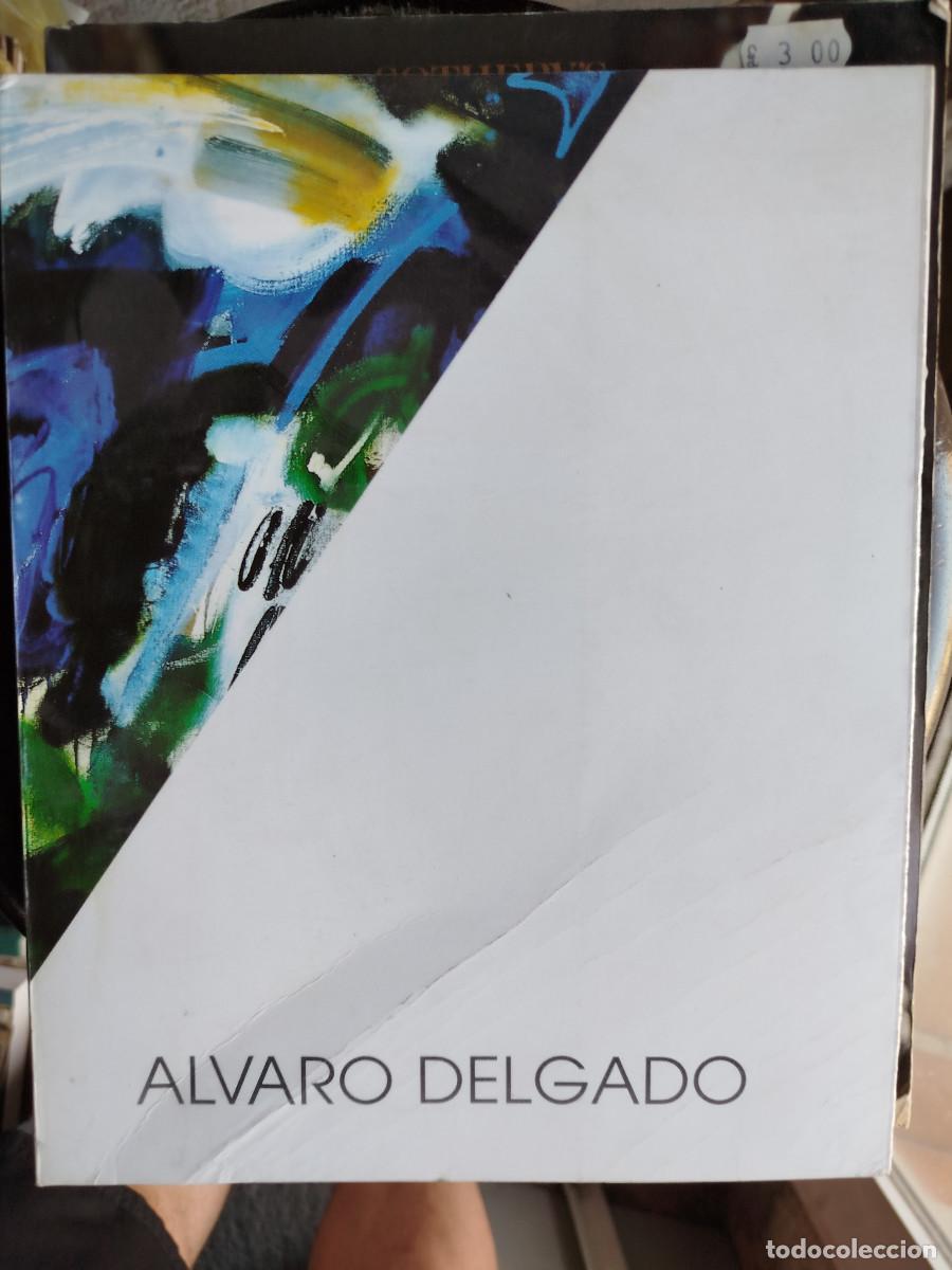 Libros de segunda mano: Libro arte Alvaro Delgado - Foto 1