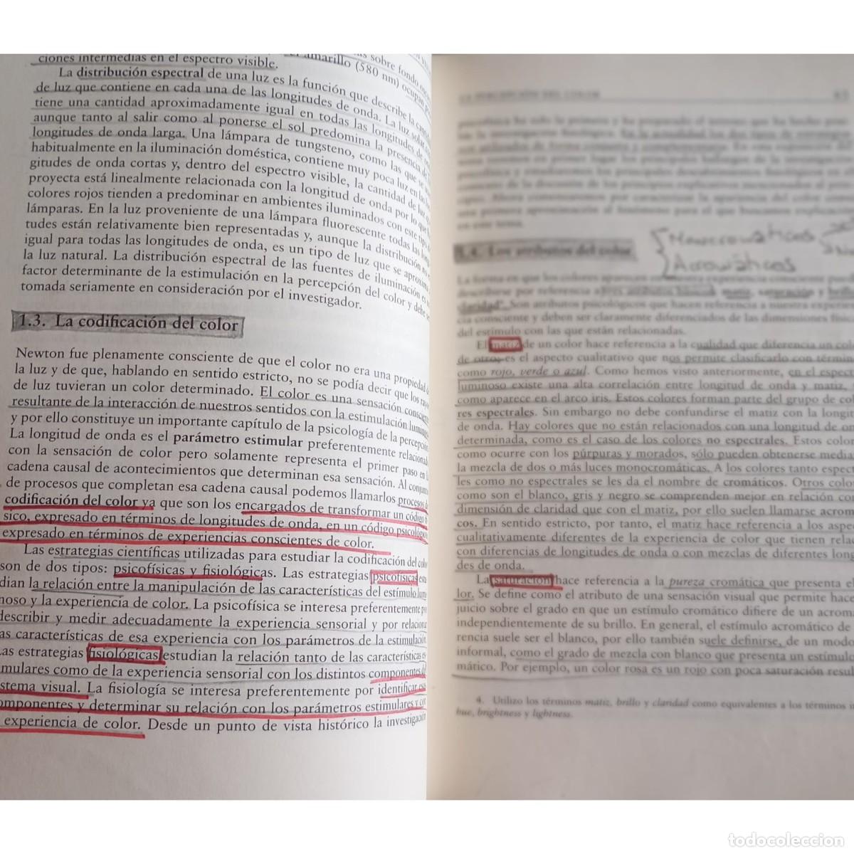 Libros de segunda mano: PERCEPCI&Oacute;N VISUAL - DOLORES LUNA / P&Iacute;O TUDELA - Foto 2