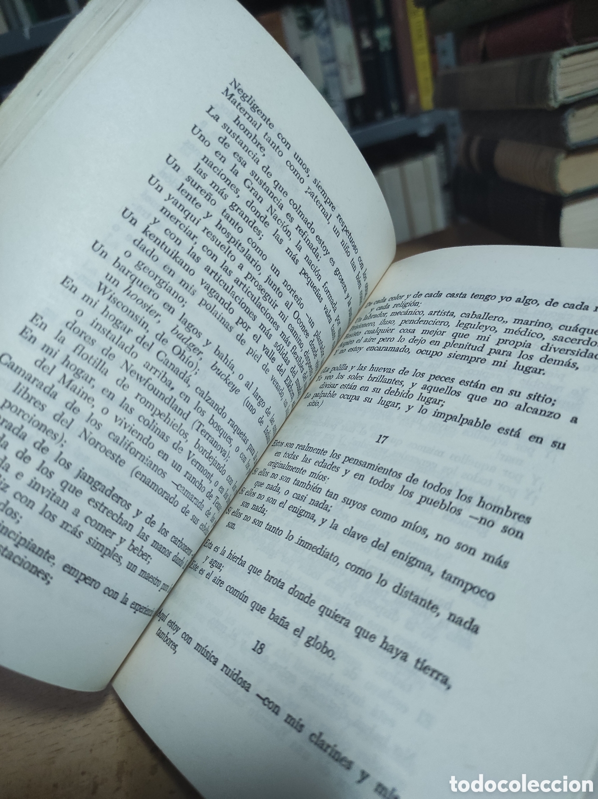 Libros de segunda mano: Walt Whitman, Hojas de hierba - Foto 4