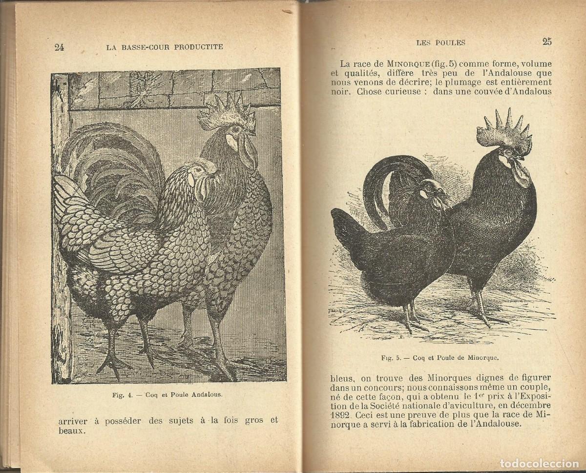 Libros de segunda mano: La basse - Cour productive. Paris, 1884 - Foto 3