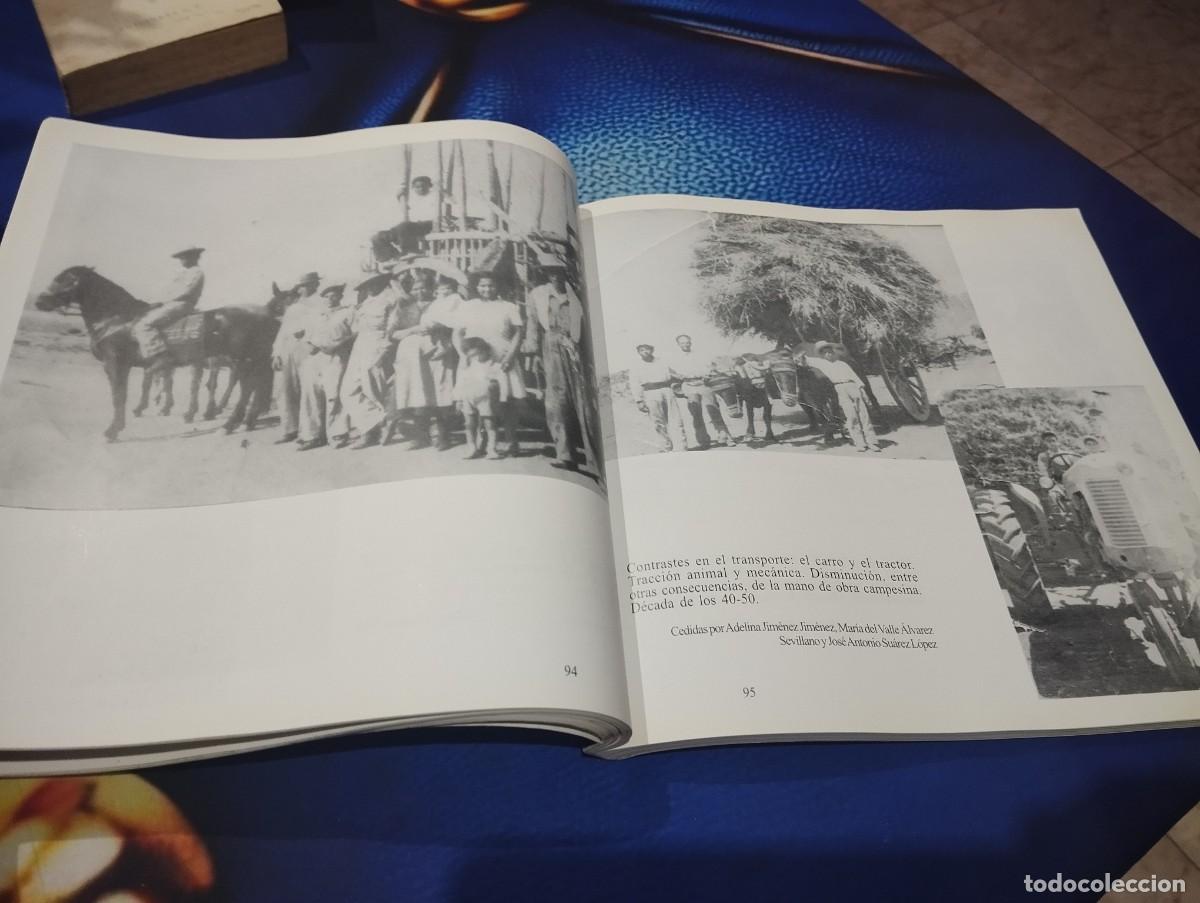 Libros de segunda mano: MARCHENA 300 IMAGENES DEL PASADO - Foto 9