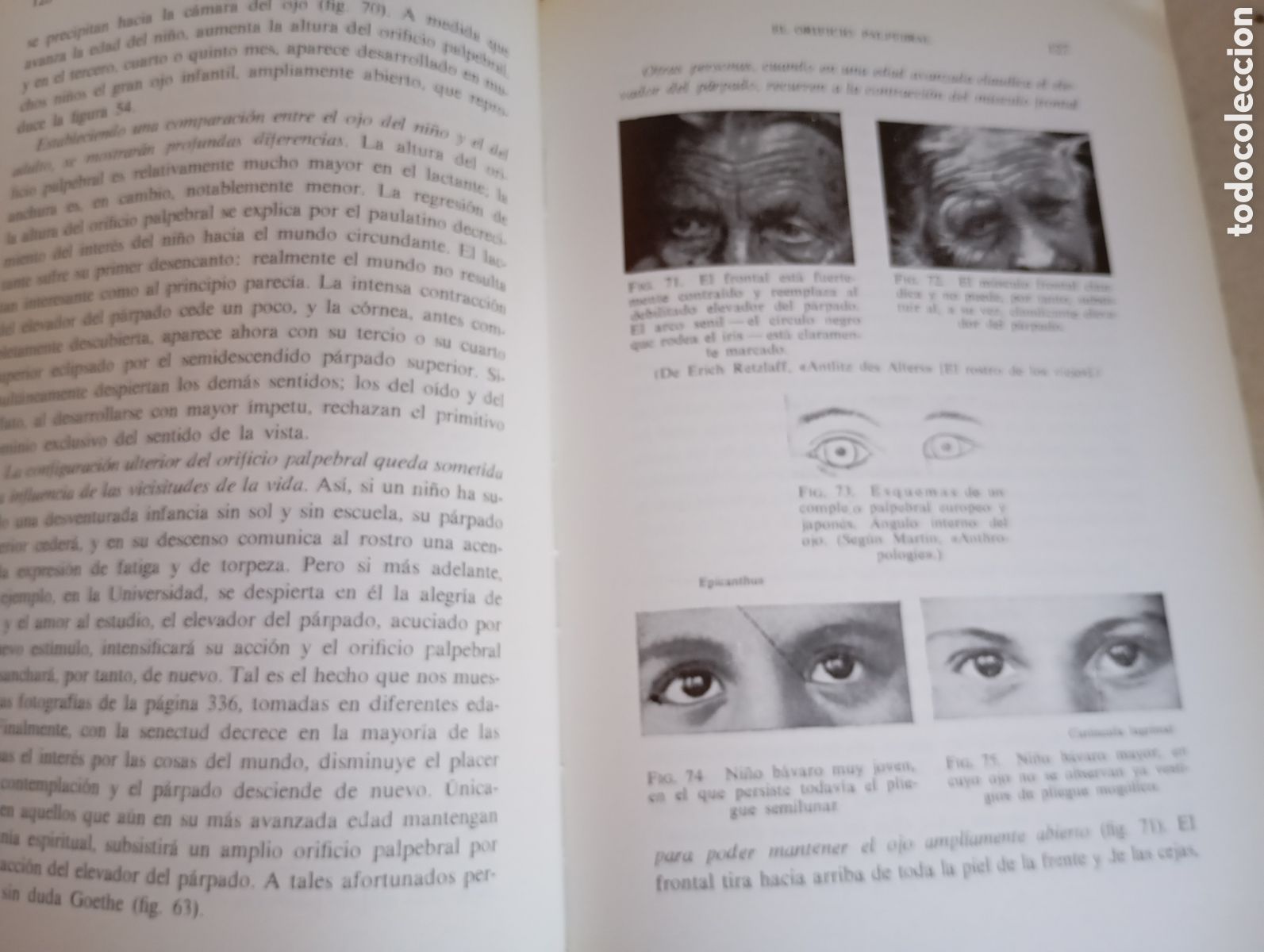 Libros de segunda mano: El lenguaje del rostro - Foto 3