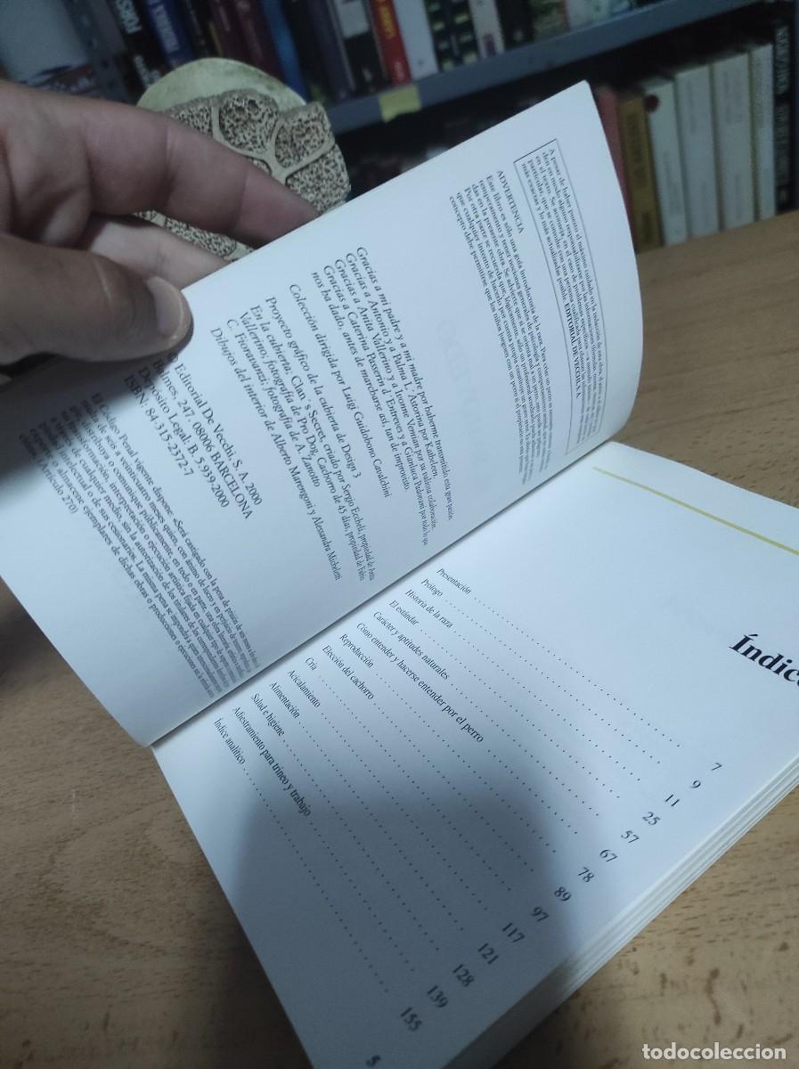 Libros de segunda mano: Perros de Raza. El Samoyedo - Foto 4