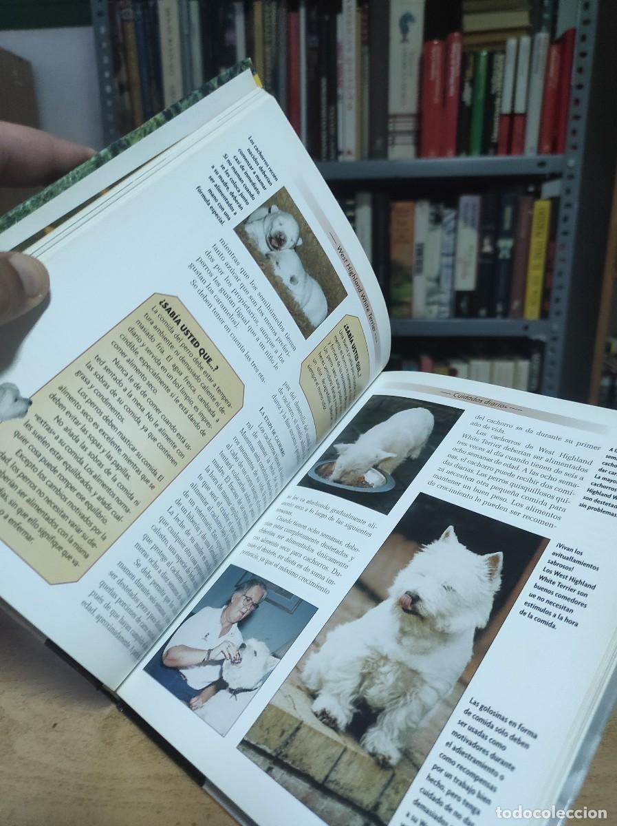 Libros de segunda mano: West Highland white terrier (Raza canina) - Foto 2