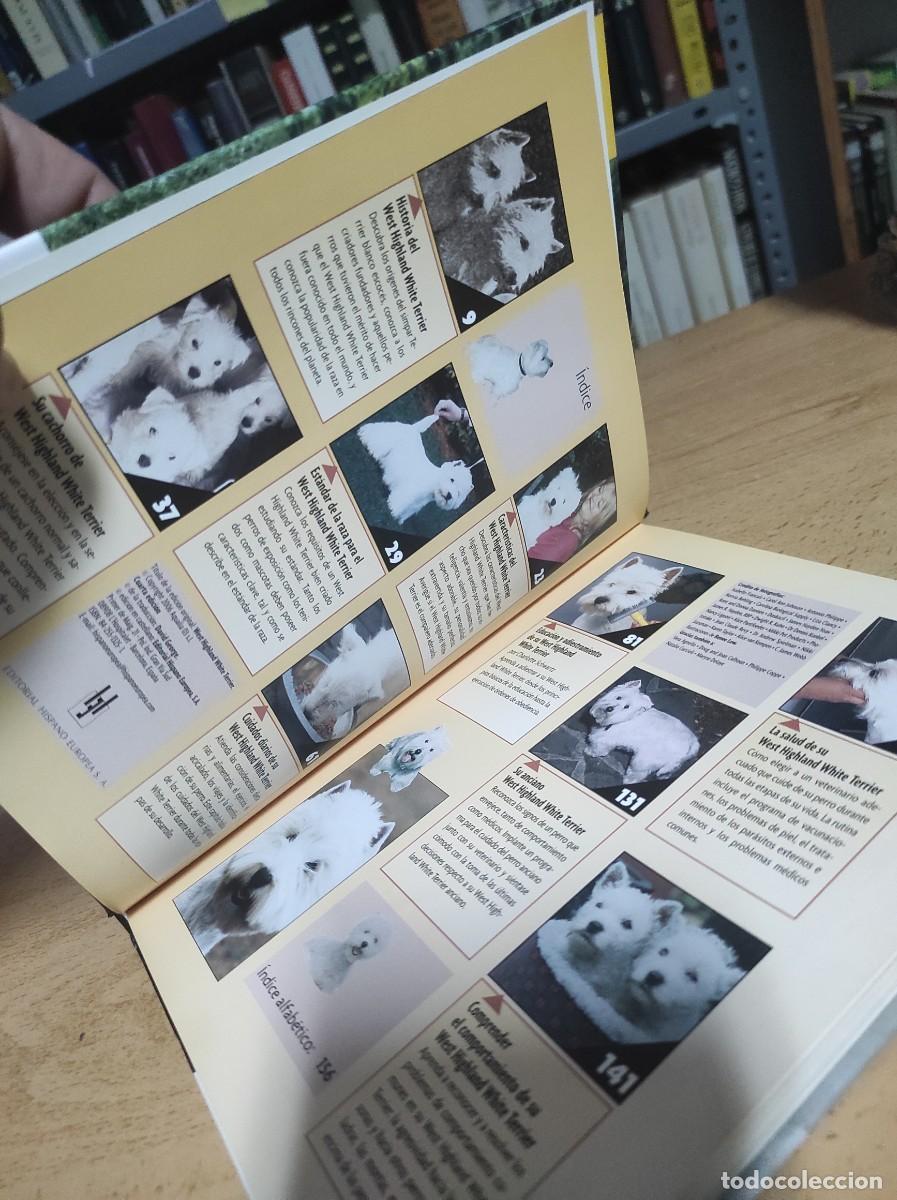 Libros de segunda mano: West Highland white terrier (Raza canina) - Foto 3