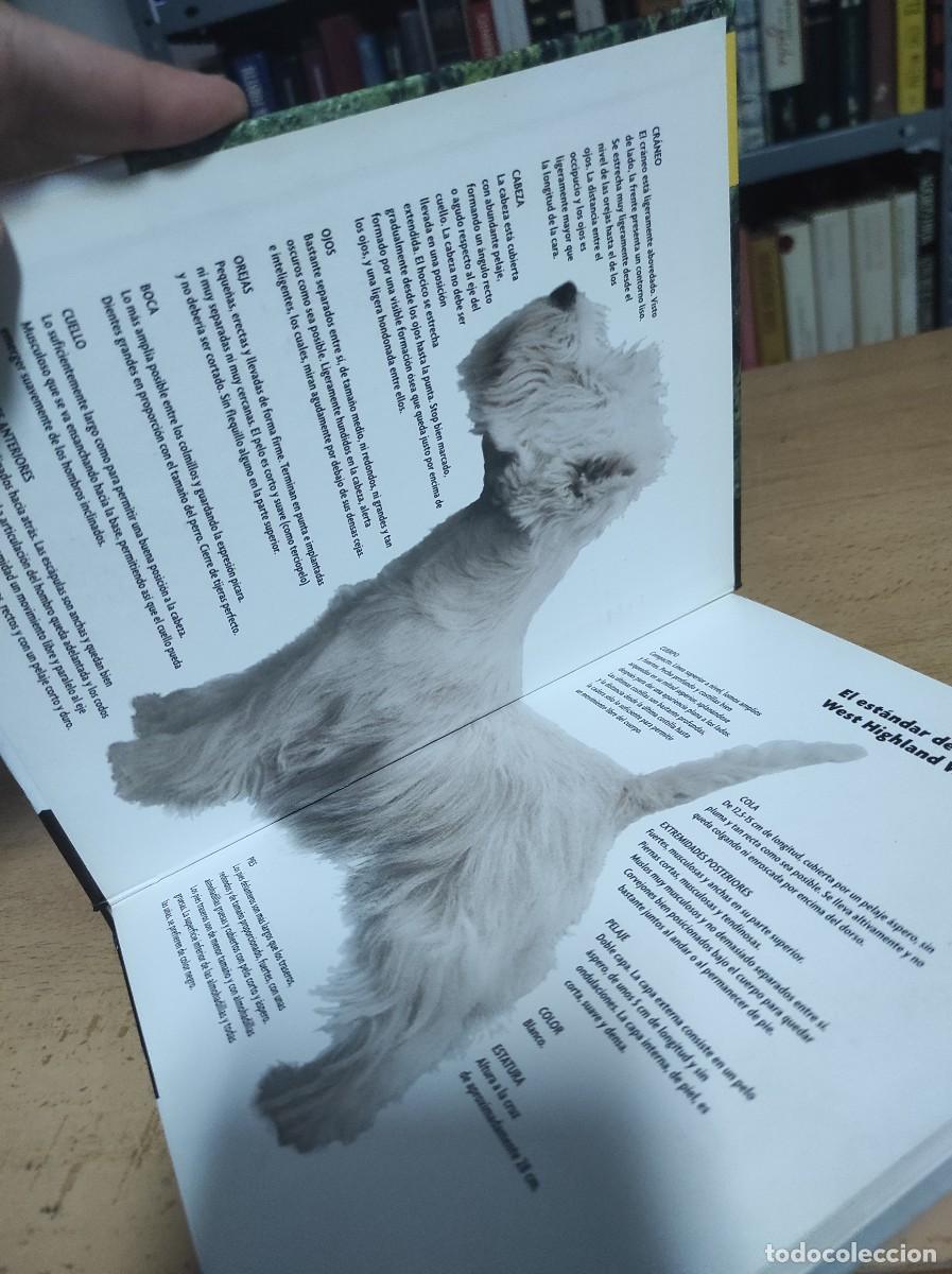 Libros de segunda mano: West Highland white terrier (Raza canina) - Foto 4