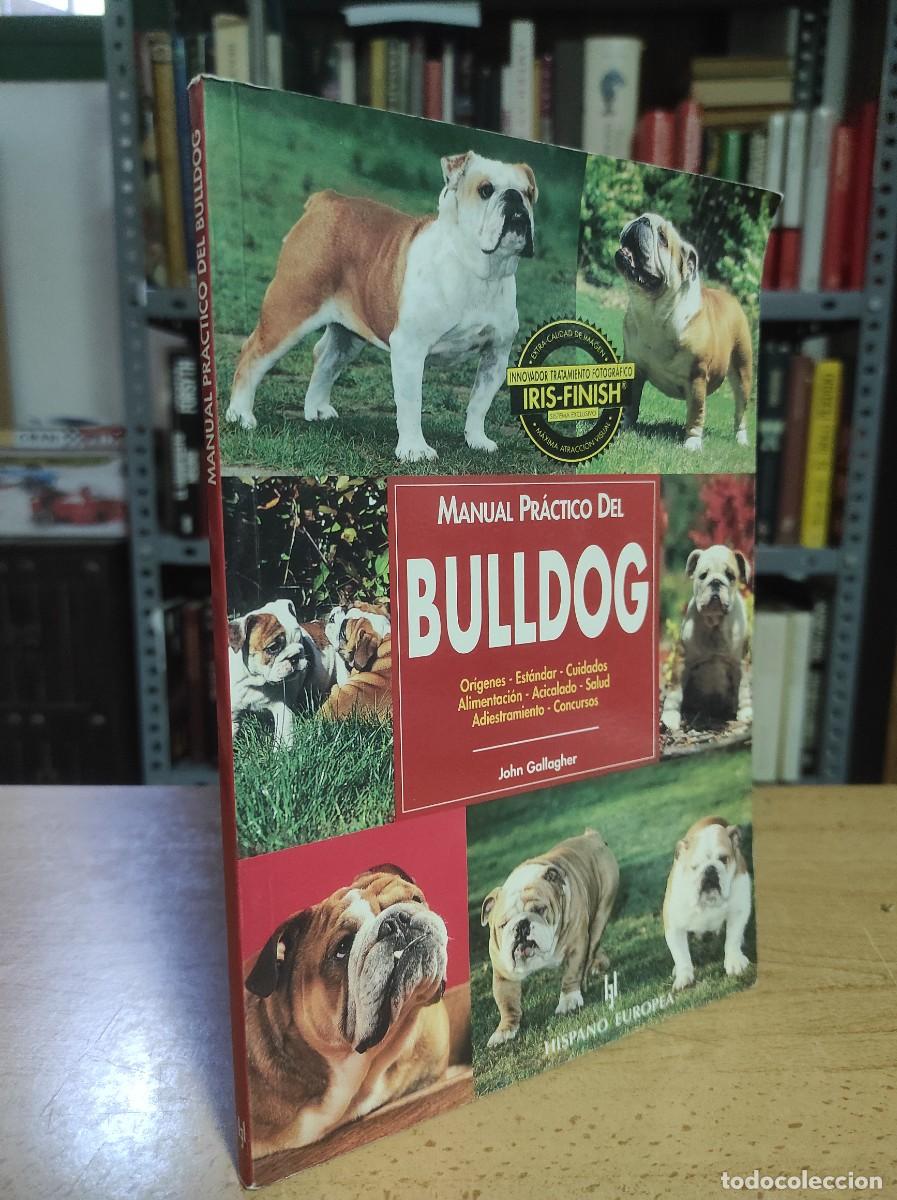 Libros de segunda mano: Manual pr&aacute;ctico del Bulldog - Foto 1