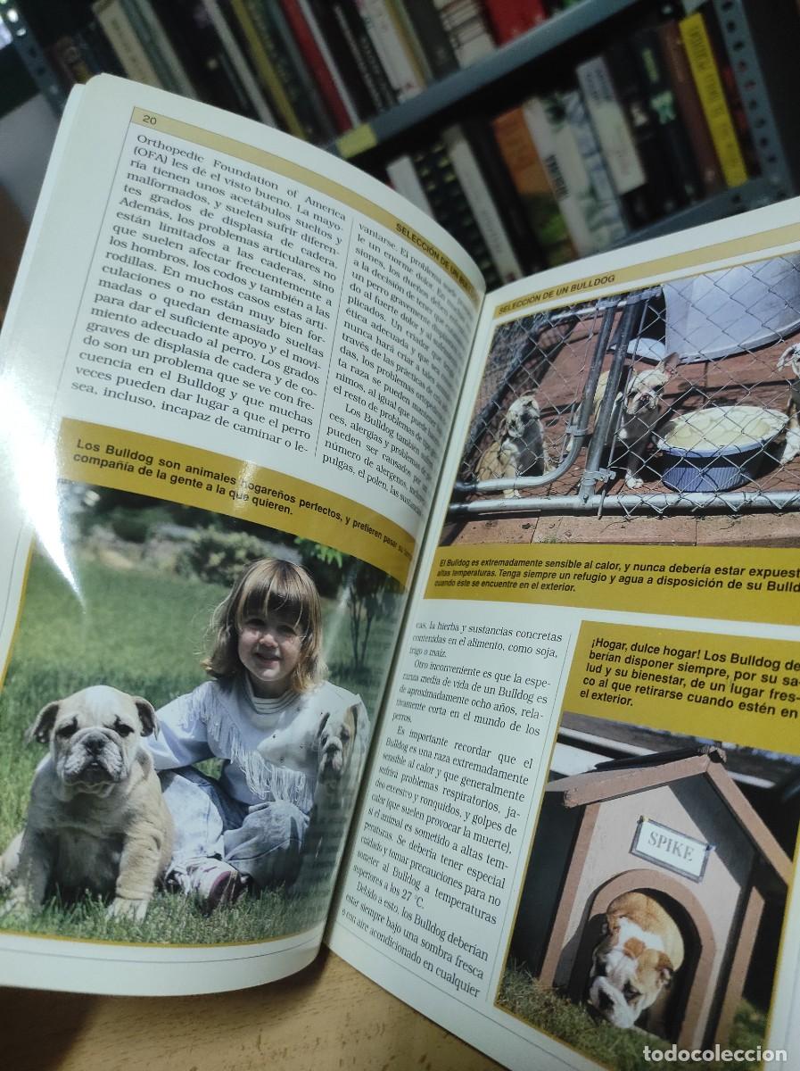 Libros de segunda mano: Manual pr&aacute;ctico del Bulldog - Foto 3
