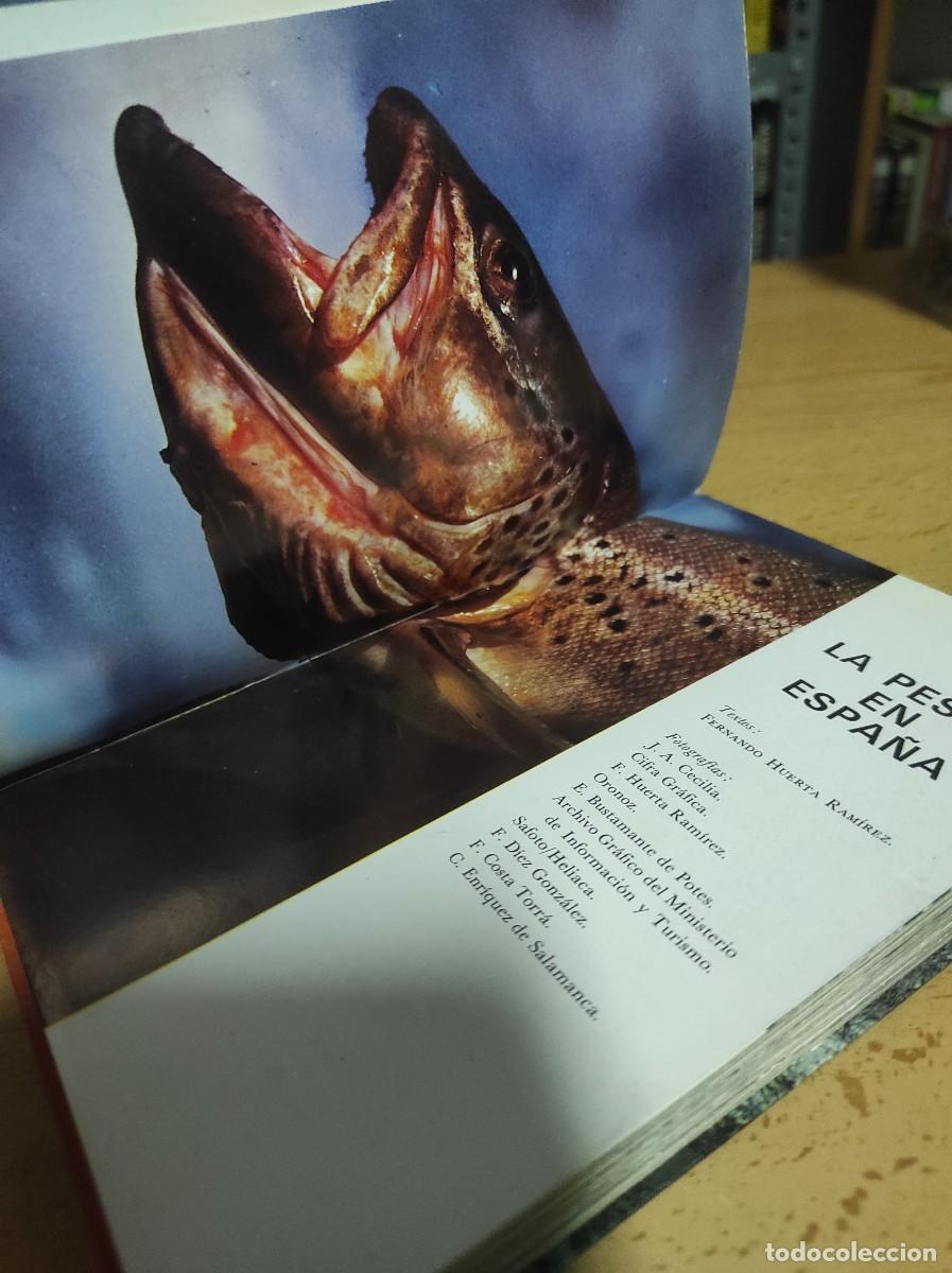Libros de segunda mano: LA PESCA EN ESPA&Ntilde;A, FERNANDO HUERTA - Foto 3