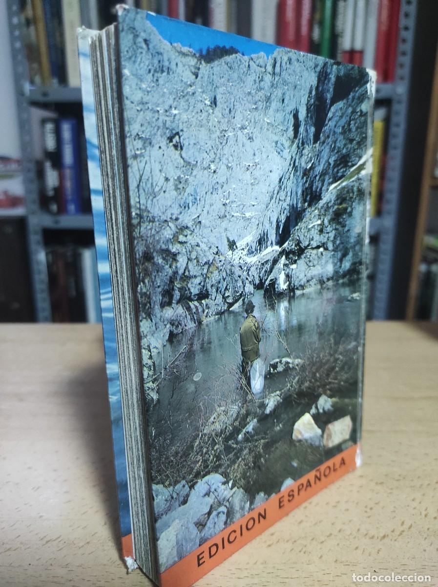 Libros de segunda mano: LA PESCA EN ESPA&Ntilde;A, FERNANDO HUERTA - Foto 6
