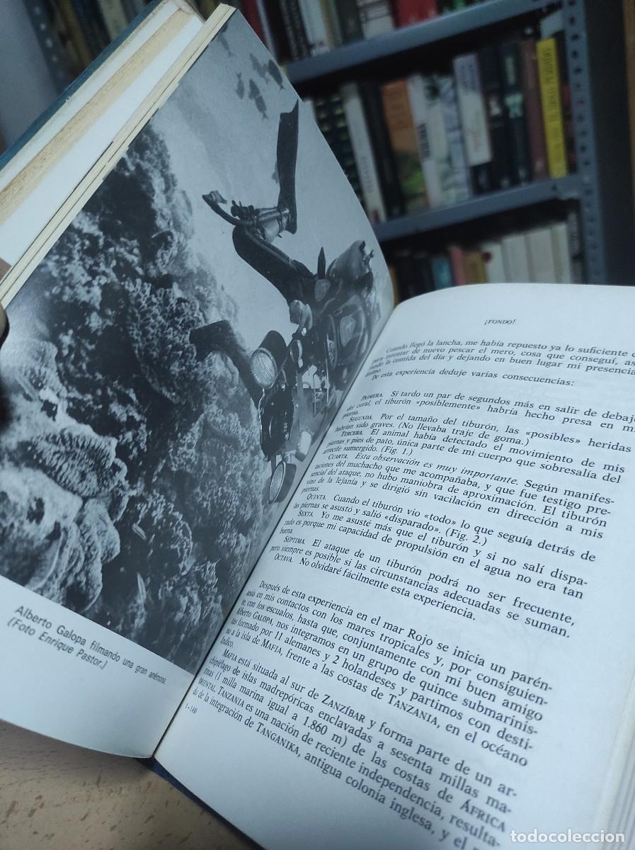 Libros de segunda mano: Fondo. Mares tropicales (Edici&oacute;n ilustrada) - Eduardo Admetlla - Foto 2