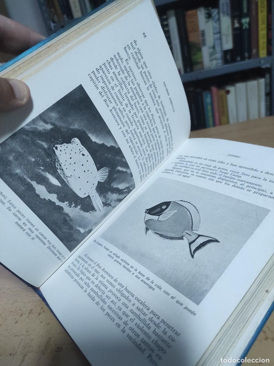 Libros de segunda mano: Fondo. Mares tropicales (Edici&oacute;n ilustrada) - Eduardo Admetlla - Foto 3
