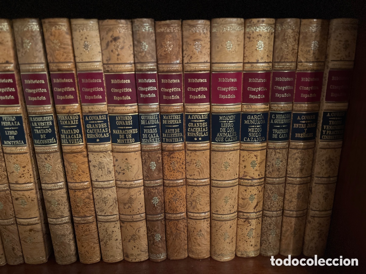 Libros de segunda mano: Biblioteca cineg&eacute;tica espa&ntilde;ola - Foto 2