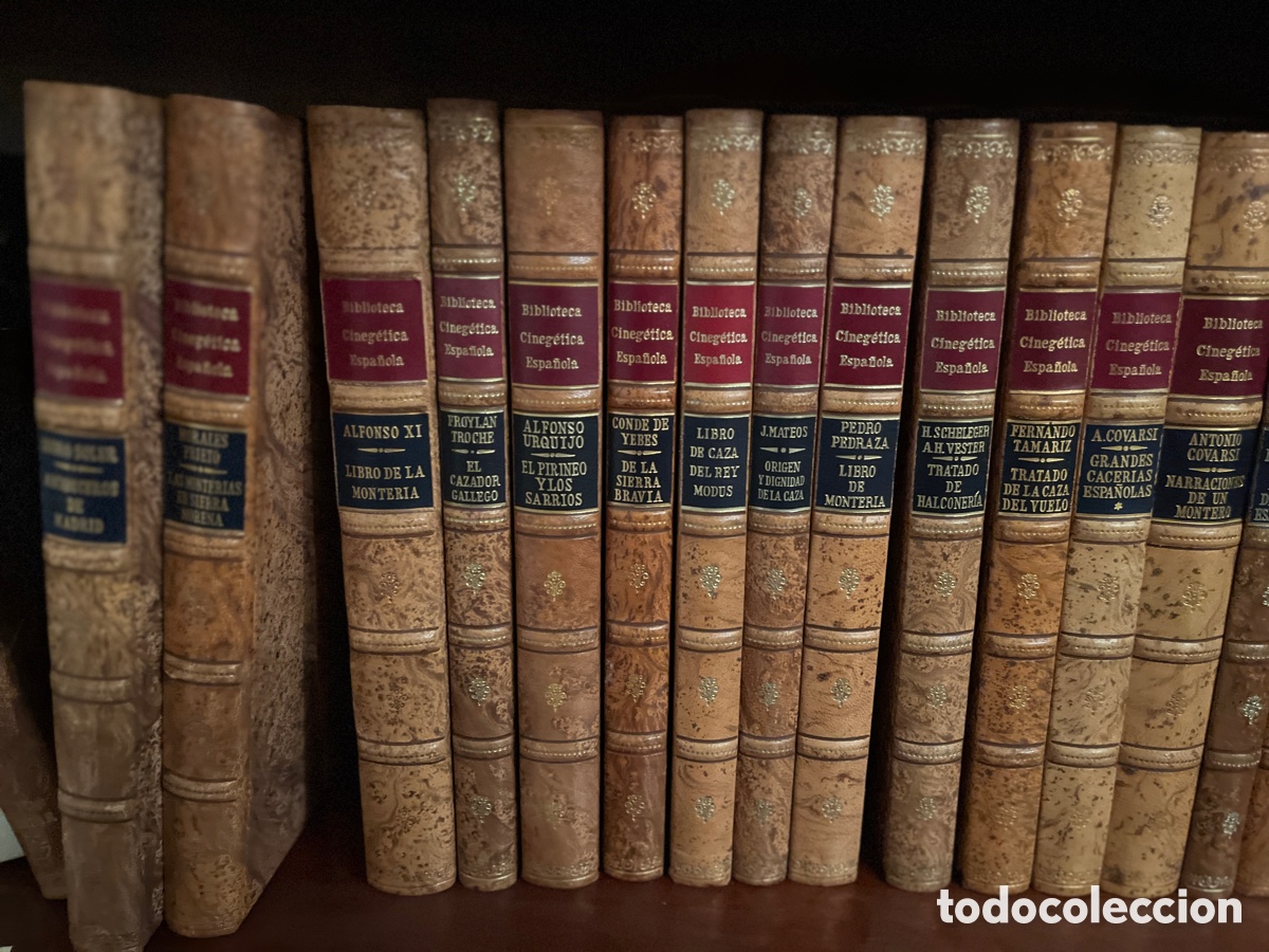 Libros de segunda mano: Biblioteca cineg&eacute;tica espa&ntilde;ola - Foto 3