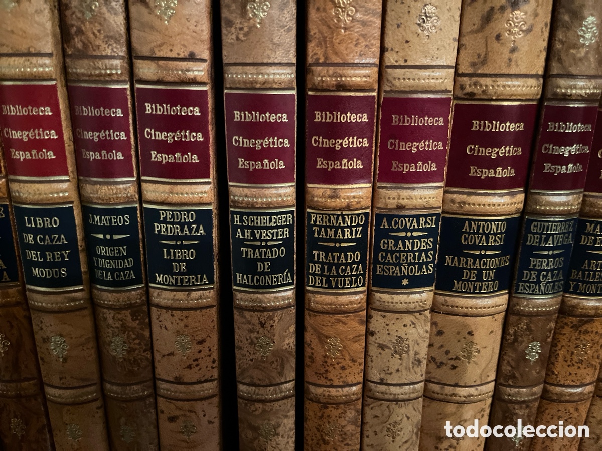 Libros de segunda mano: Biblioteca cineg&eacute;tica espa&ntilde;ola - Foto 1